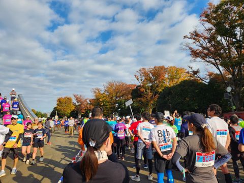 毎年参加してます
