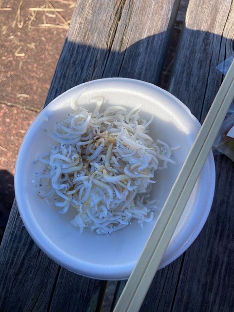 良い天気　快適ライド