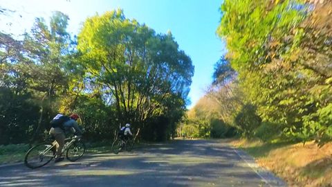 首都圏貸切状態！