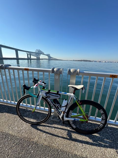 富士山がとても綺麗だった