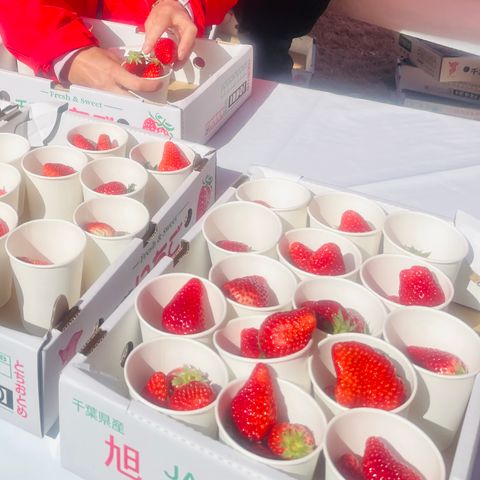 いちごを満喫♪
