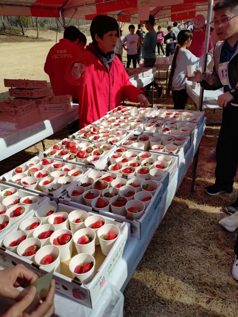いちご食べ放題!