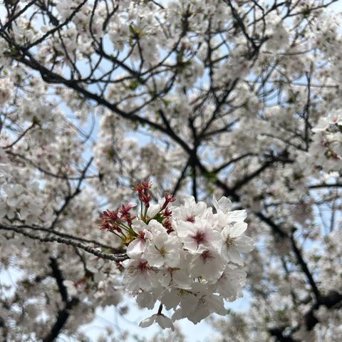 応援があたたかい