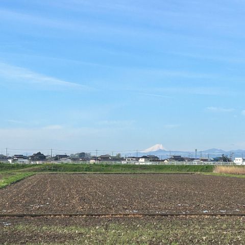 応援があたたかい