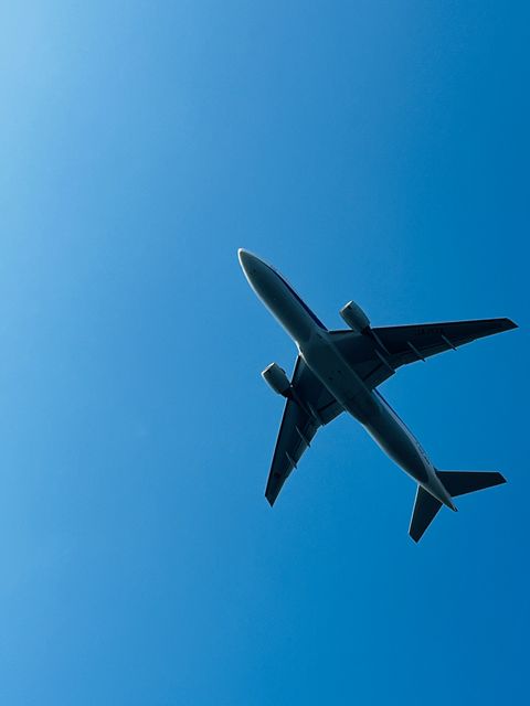 青空と桜と飛行機