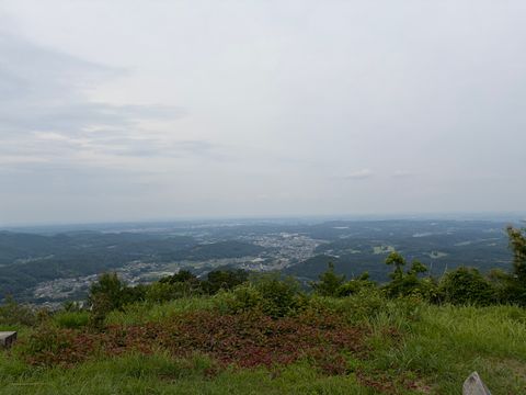 初出場！