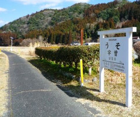 10キロの部に参加