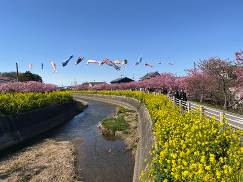 天気、景色、食事、どれをとっても最高でした！