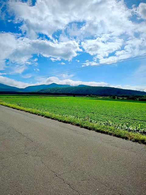 田園地帯での素晴らしいドライブ