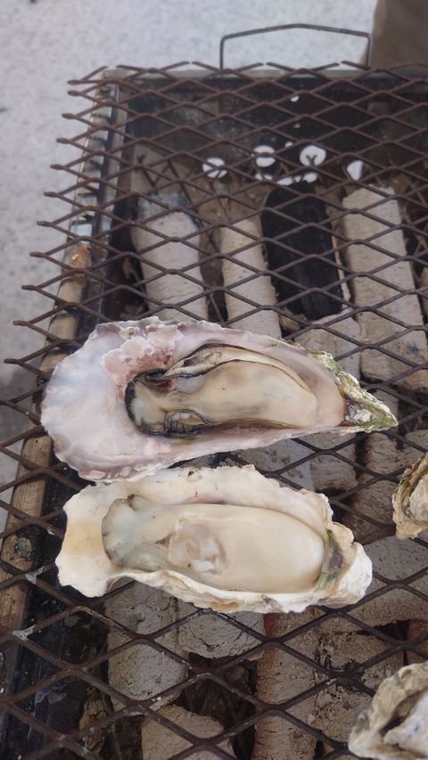 風光明媚な観光地探索