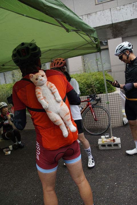 カモンジョイナズ