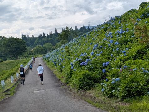 札参戦の、満足