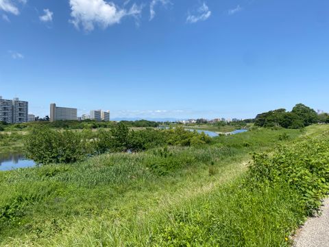 今年もありがとうございました