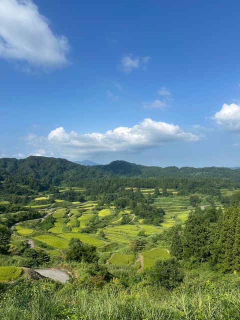 8年連続｜妻有だいすき