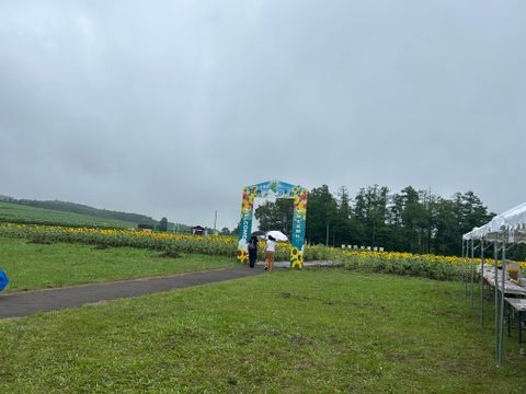 楽しかった