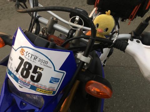 楽しもう！