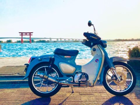 カブで頑張るぞ！