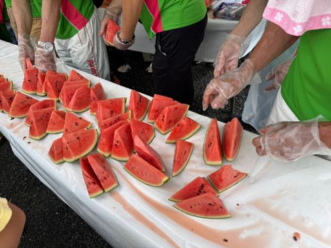 スイカざんまい🍉